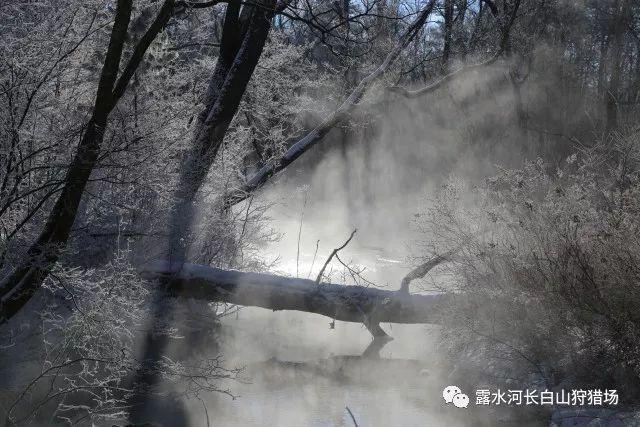 火柴人终极挑战