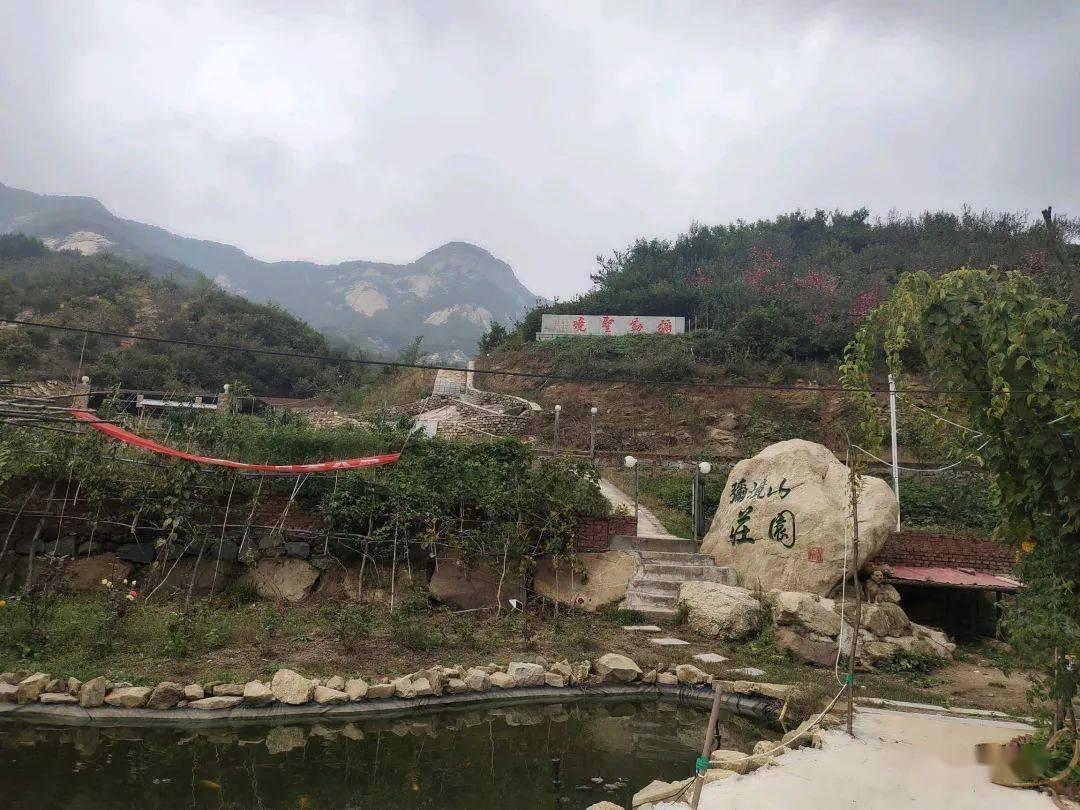 护士资格证承诺书打印游戏画面